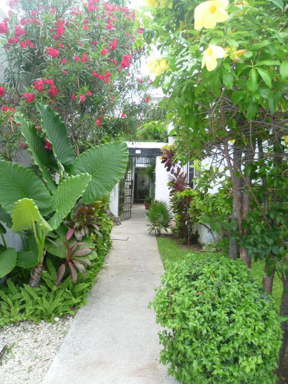 Auberge de jeunesse Haina *