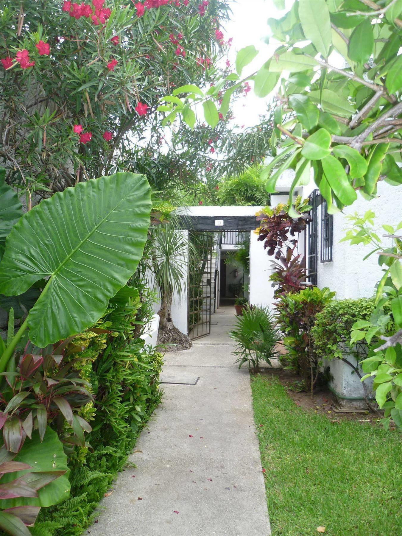 Haina Auberge de jeunesse Cancún